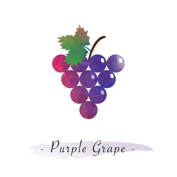 Kolorowe akwarela tekstury wektor zdrowy owoc fioletowy winogron — Wektor stockowy