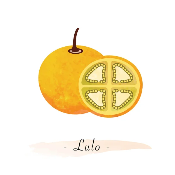 Πολύχρωμο ακουαρέλα υφή διάνυσμα υγιή φρούτα lulo Solanum qu — Διανυσματικό Αρχείο