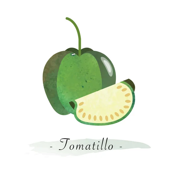 Kleurrijke aquarel textuur vector gezond fruit tomatillo — Stockvector