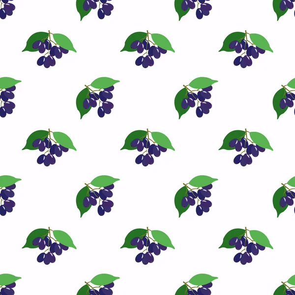 Бесшовное фоновое изображение красочная тропическая фруктовая слива Джамболан — стоковый вектор