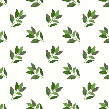 Sorunsuz arka plan görüntü renkli sulu boya doku sebze 