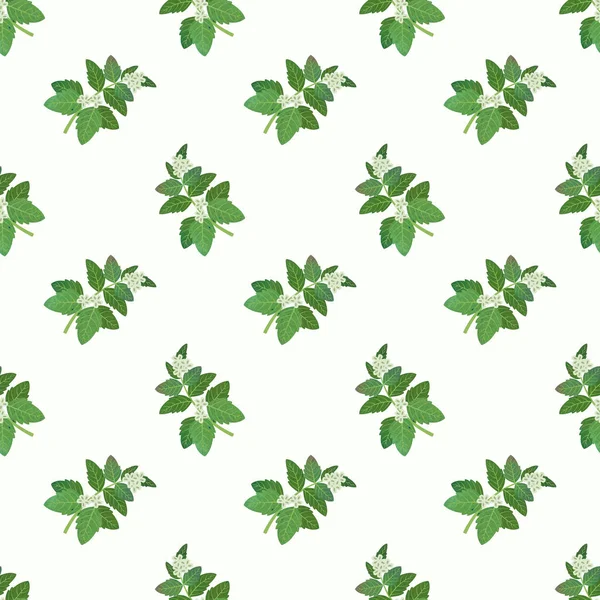 Sorunsuz arka plan görüntü renkli sulu boya doku sebze 