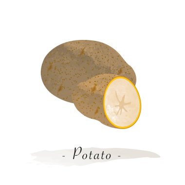 Renkli Sulu Boya doku vektör sağlıklı sebze patates