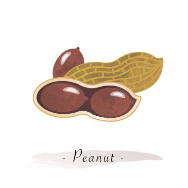 Renkli Sulu Boya doku vektör sağlıklı sebze fıstık