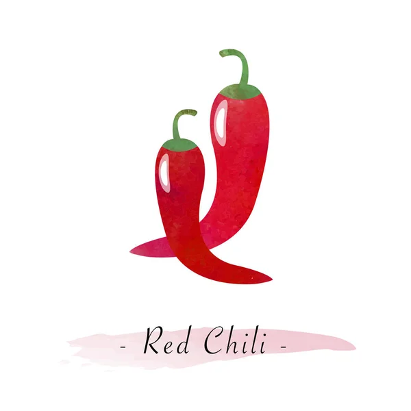 Colorida acuarela textura vector saludable vegetal rojo chile — Vector de stock
