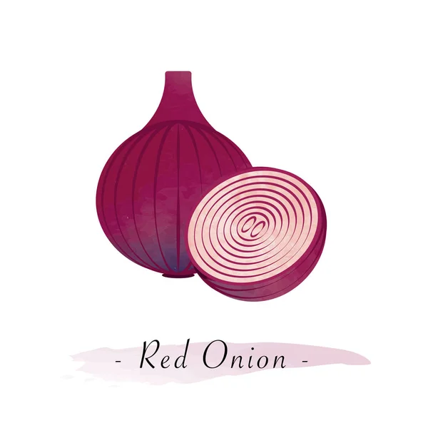 Colorful watercolor texture vector healthy vegetable red onion — Stock Vector