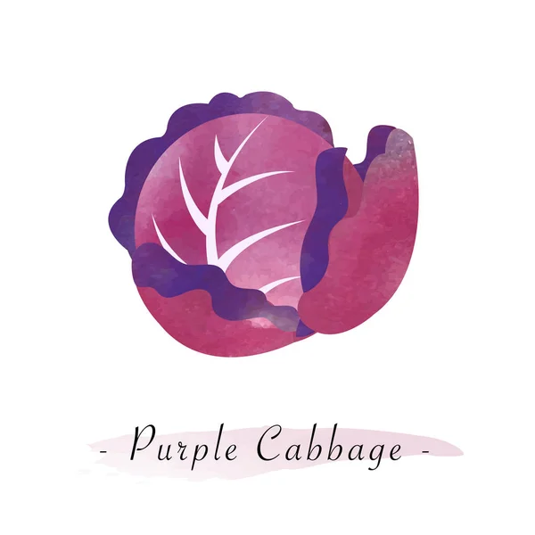 Цветной акварельный вектор текстуры здоровый овощной фиолетовый кабины — стоковый вектор