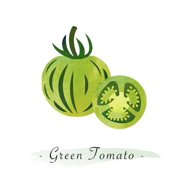 Bunte Aquarell Textur Vektor gesund Gemüse Zebra grün — Stockvektor