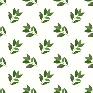 Sorunsuz arka plan görüntü renkli sebze gıda madde Körfezi