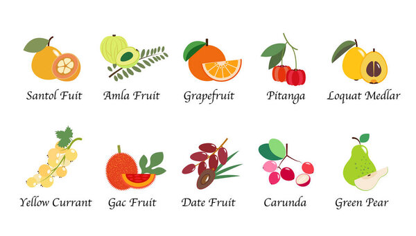 Organic nature health fruit isolated vector collection set