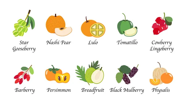 Natureza orgânica conjunto de coleta vetorial isolado de frutas de saúde —  Vetores de Stock