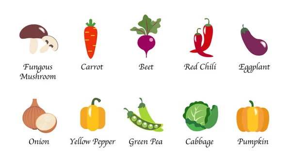 Organické povahy zdraví zeleninová jídla koření, samostatný vektorové colle — Stockový vektor