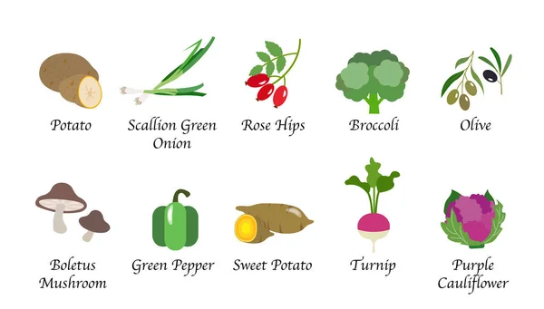 Organické povahy zdraví zeleninová jídla koření, samostatný vektorové colle — Stockový vektor
