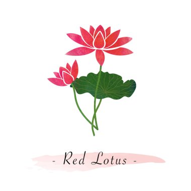 Renkli Sulu Boya doku vektör Botanik Bahçe çiçek