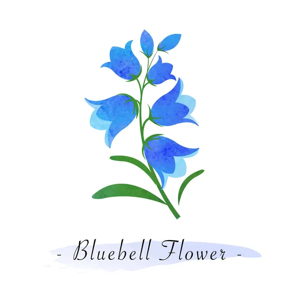 Texture aquarelle colorée vecteur botanique jardin fleur — Image vectorielle