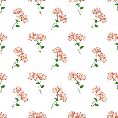 Sorunsuz arka plan görüntü renkli botanik çiçek yaprak bitki