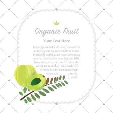 Renkli Sulu Boya doku doğa organik meyve faturası çerçeve amla