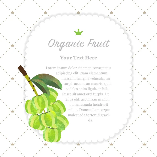 Renkli Sulu Boya doku doğa organik meyve faturası çerçeve yıldız