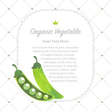 Renkli Sulu Boya doku doğa organik meyve faturası çerçeve