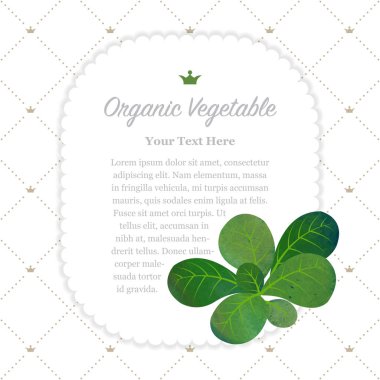 Renkli Sulu Boya doku doğa organik meyve faturası çerçeve