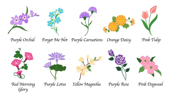 Οργανικής φύσης Βοτανικός κήπος λουλουδιών απομονωμένη διάνυσμα συλλογή — Διανυσματικό Αρχείο