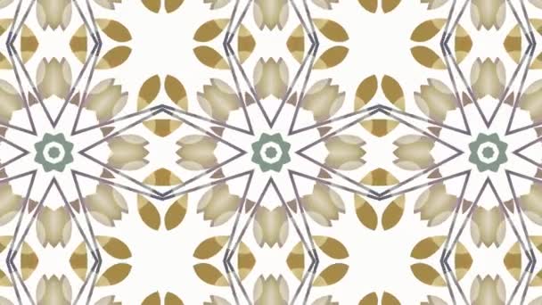 Kaleidoszkóp Varrat Nélküli Hurok Sorozat Mandala Minták Absztrakt Tarka Jelet — Stock videók