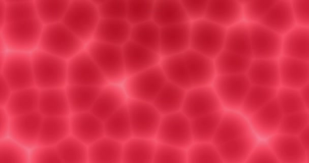 Human Blood Cell Bubble Flowing Seamless Motion Background — Stock Video