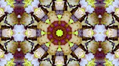 Kaleydoskop sorunsuz döngü sıra mandala desenler çok renkli hareketli grafik arka plan soyut. Yoga için ideal, kulüpleri, gösterir