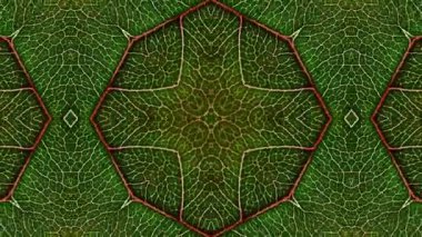 Kaleydoskop sorunsuz döngü sıra mandala desenler çok renkli hareketli grafik arka plan soyut. Yoga için ideal, kulüpleri, gösterir