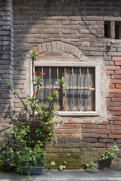 Alte Ruine Ziegelputzwand und rustikales Fenster Natur Pflanztopf — Stockfoto