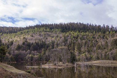 Dağ gölü doğa görünümünde Shangri La Pudacuo Milli Parkı