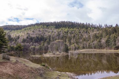 Dağ gölü doğa görünümünde Shangri La Pudacuo Milli Parkı