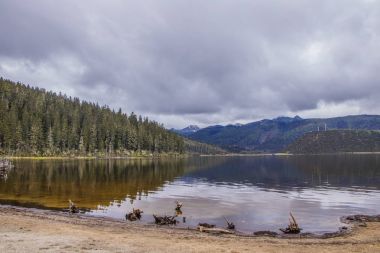 Ağaç dalı Pudacuo Ulusal lake doğa görünümünde solmuş