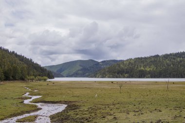 Dağ gölü eğrisi nehir doğa ben Pudacuo milli park alanında göster