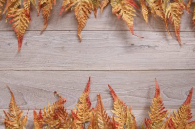 Antika ahşap retro arka plan doku ve doğa sonbahar kırmızı le