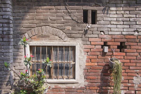 Oude ruïne baksteen gips muur en rustieke venster natuur plant pot — Stockfoto