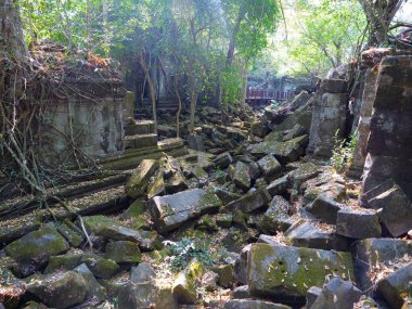 Beng Mealea ormandaki antik tapınak kalıntıları