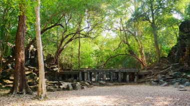Beng Mealea ormandaki antik tapınak kalıntıları