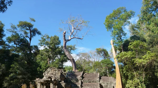 Paisaje vista del Templo Ta Prohm en el complejo Angkor wat, Siem Re — Foto de Stock