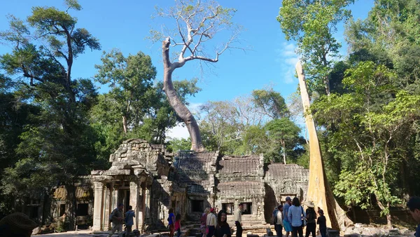 Вид на храм Та Пром в комплексе Ангкор Ват, Сием Ре — стоковое фото