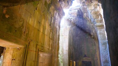 Angkor Wat kompleksindeki Ta Prohm Tapınağında kutsal güneş ışığı, Siem Rea