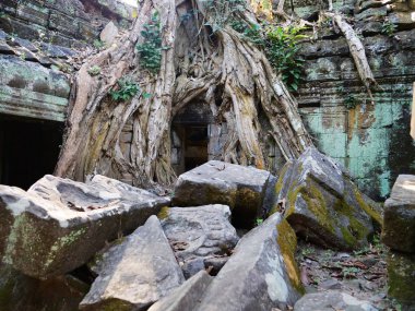 Angkor wa 'daki Ta Prohm Tapınağı' ndaki antik taş yıkıntısı ve ağaç kökü.