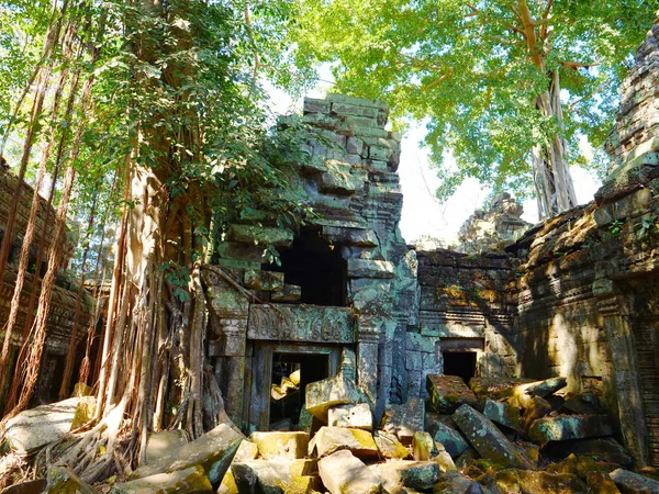Widok krajobrazu Ta Prohm Temple w kompleksie Angkor wat, Siem Re — Zdjęcie stockowe