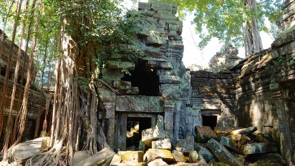 Widok krajobrazu Ta Prohm Temple w kompleksie Angkor wat, Siem Re — Zdjęcie stockowe