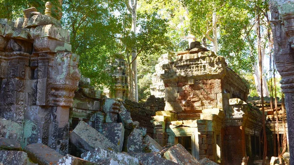 Landscape view of Ta Prohm Temple in Angkor wat complex, Siem Re — Stock Photo, Image