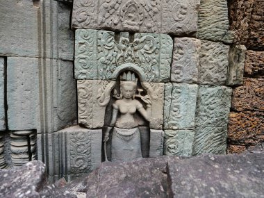 Angkor Wat kompleksindeki Ta Som tapınağında taş oyma sanatı, S