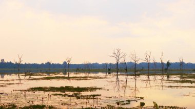 Ang 'daki Neak Poan gölünün güzel doğa manzarası
