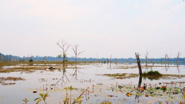 Ang 'daki Neak Poan gölünün güzel doğa manzarası