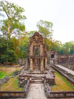 Preah Khan te 'de yıkılan taş mimarinin manzarası