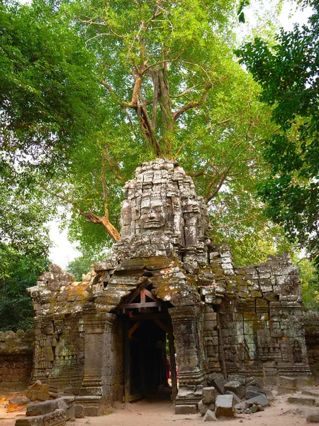 Kamienna architektura skalna ruiny w świątyni Ta Som w Angkor Wat comp — Zdjęcie stockowe